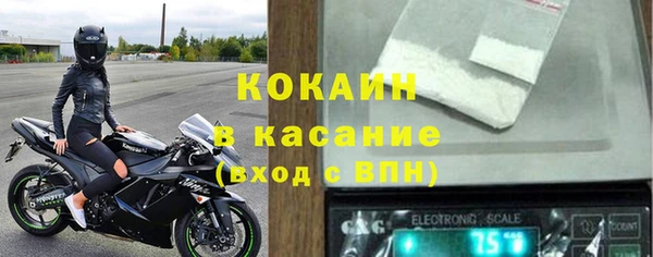 прущие грибы Алексин