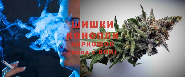 прущие грибы Алексин