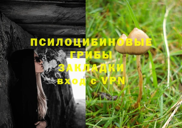 прущие грибы Алексин
