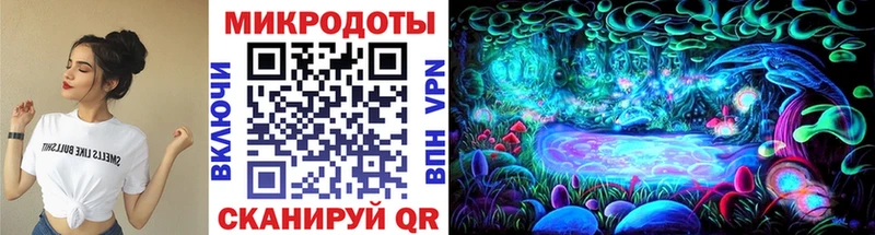 Галлюциногенные грибы Psilocybine cubensis  Мензелинск 
